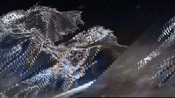 Brandon Stark mata a Rainha da Noite