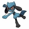 riolu