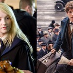 Sabia que Luna Lovegood e Newt Scamander têm um laço único?