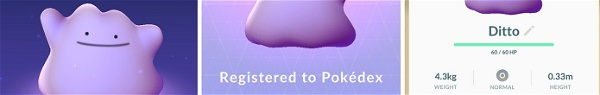 Saiba como pegar um Ditto no Pokémon GO!