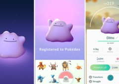 Saiba como pegar um Ditto no Pokémon GO!