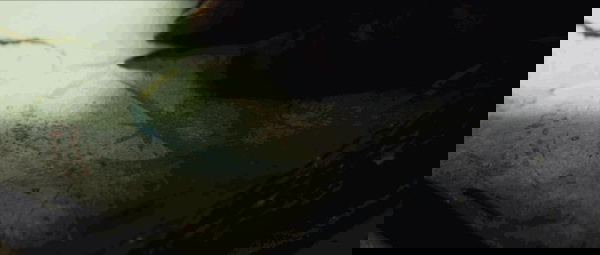 stormtrooper sabre de luz