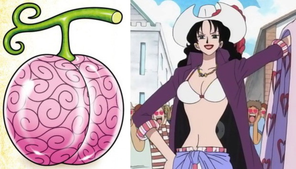 One Piece: As 17 Akuma no Mi (Frutas do Diabo)