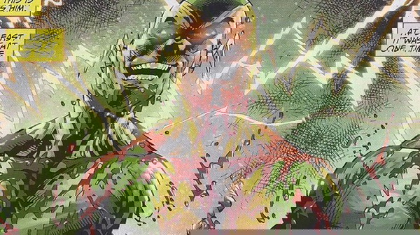 Resultado de imagem para Flash Reverso