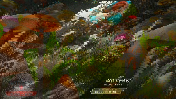 A flora incrível de Blood and Wine