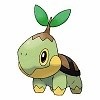 Turtwig