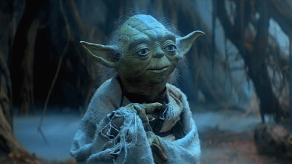 15 melhores memes de Yoda que comprovam sua sabedoria Jedi